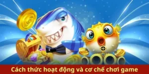 Hướng Dẫn Chơi Bắn Cá Royal Fishing W88 Dễ Thắng Cho Người Mới