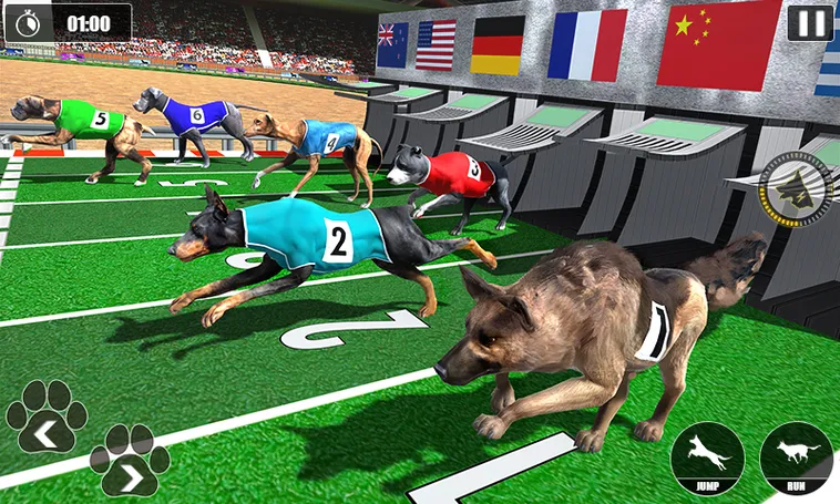 Cách Chơi Game Nhanh Đua Chó Tại W88 Để Thắng Lớn Hằng Ngày